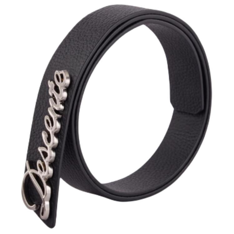 DESCENTE LOGO - -