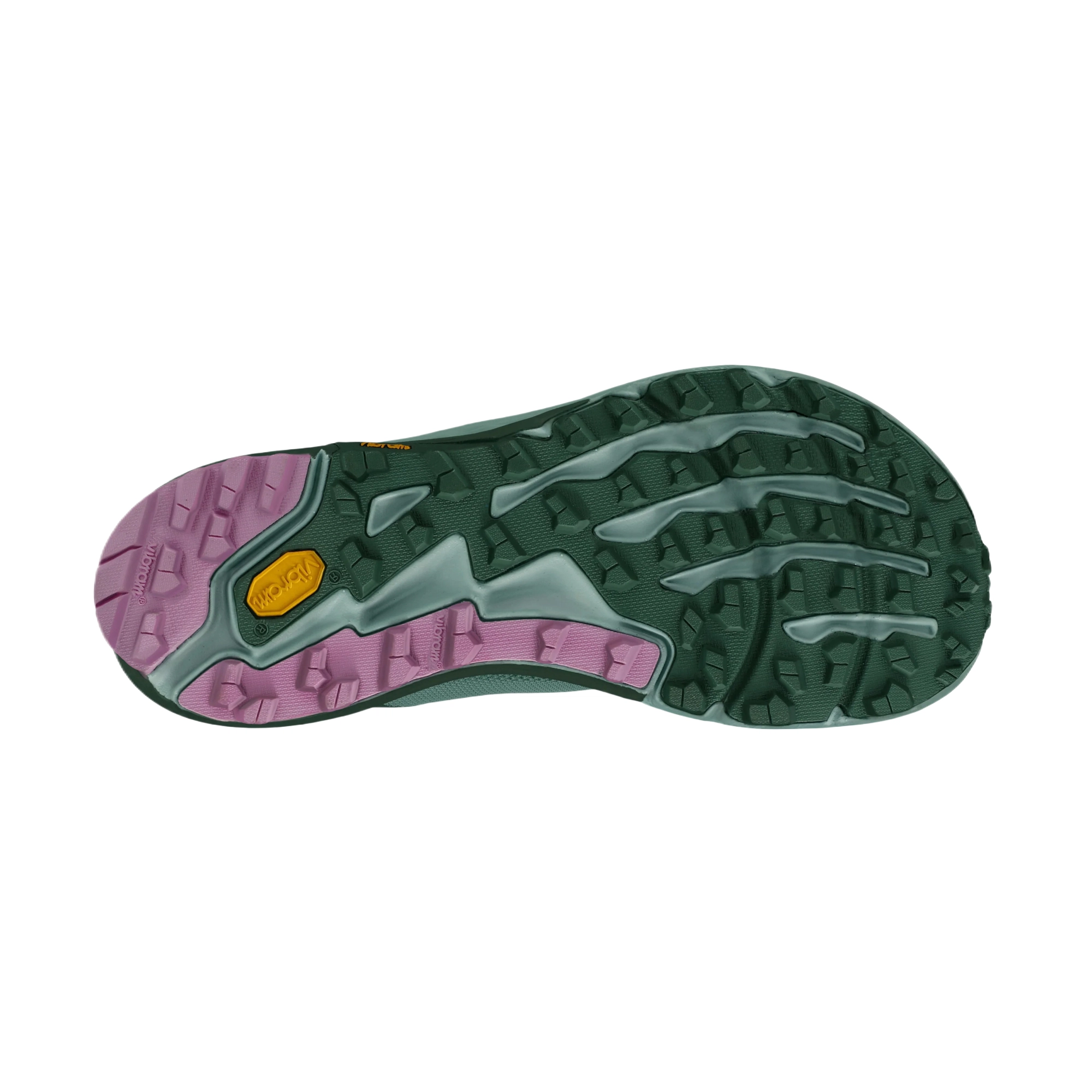 Altra TIMP 5