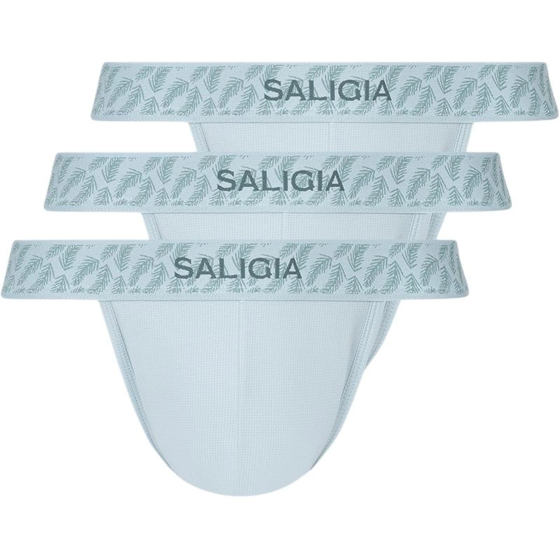 SALIGIA 3