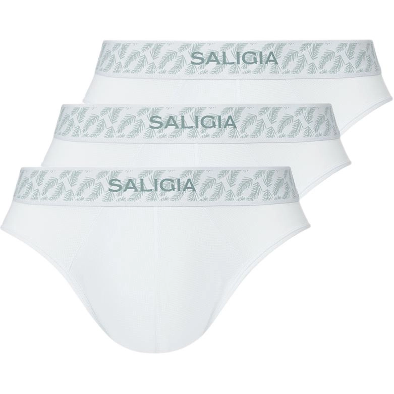 SALIGIA 3