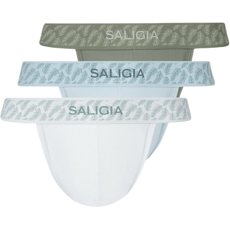 SALIGIA 3