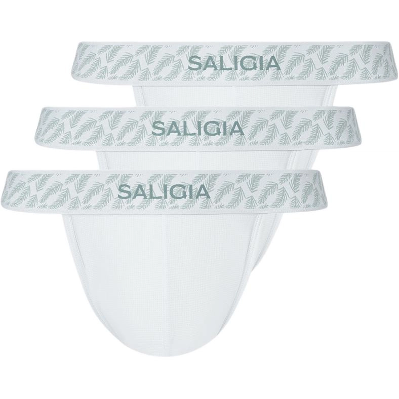 SALIGIA 3