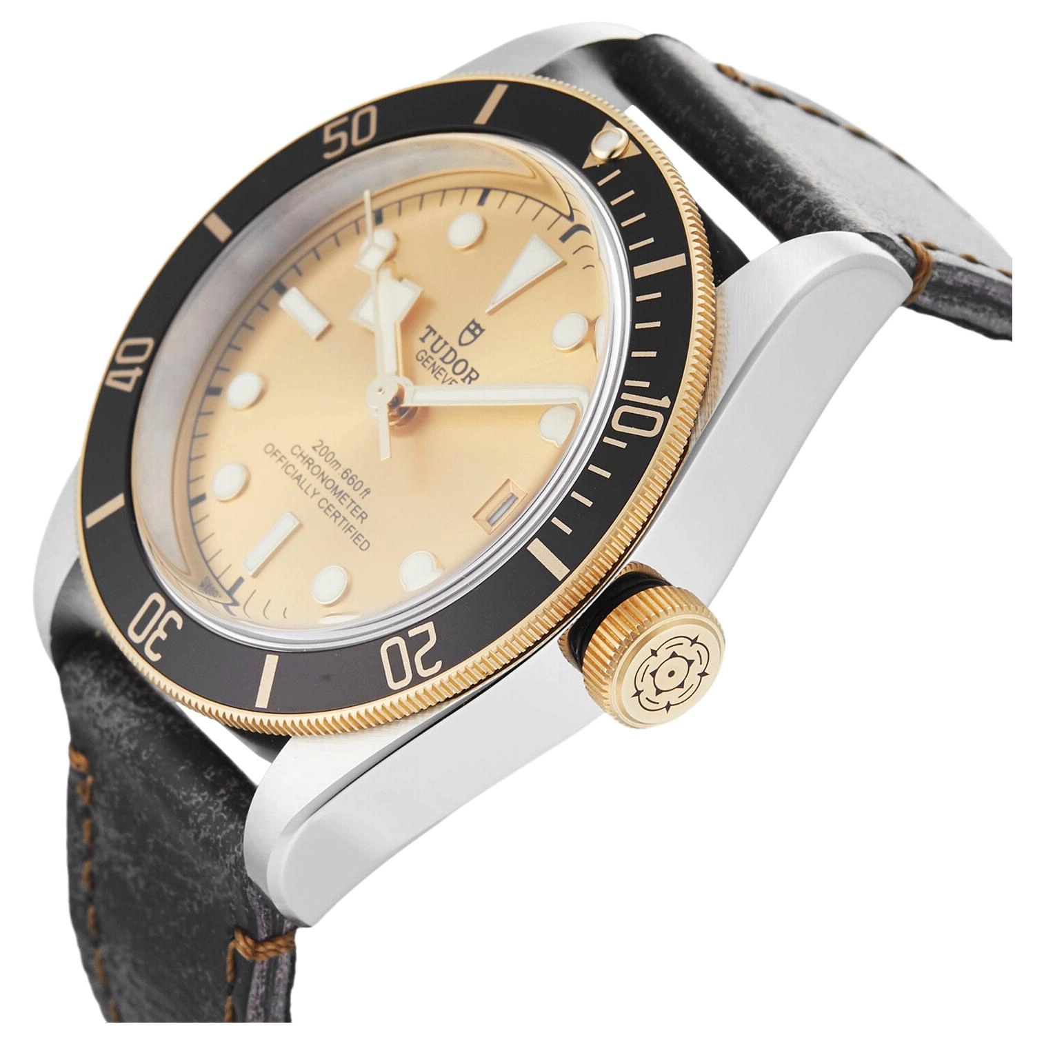 TUDOR 41mm M79733N-0003