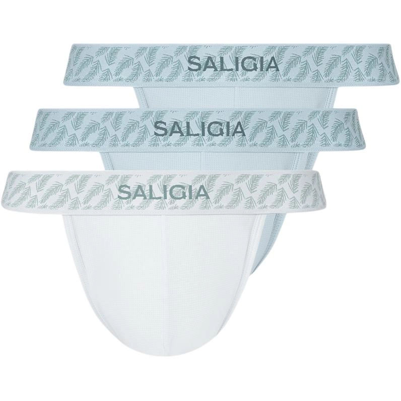 SALIGIA 3