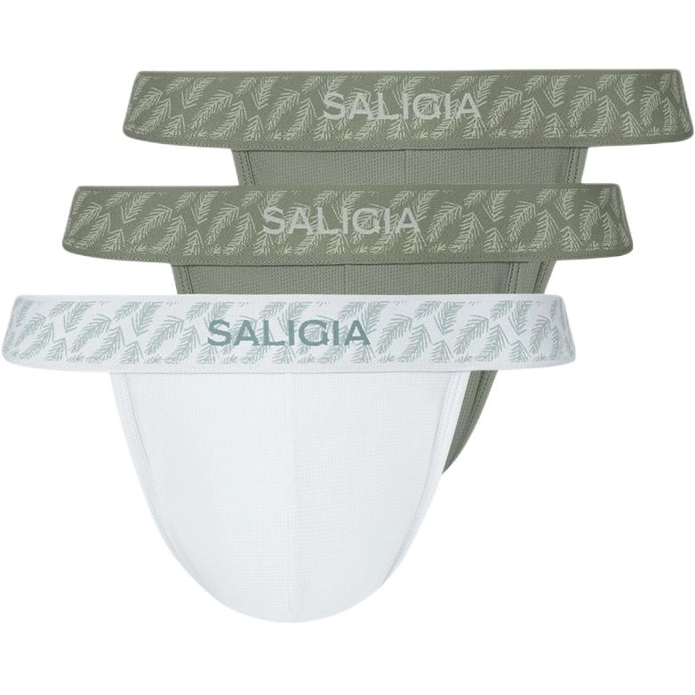 SALIGIA 3