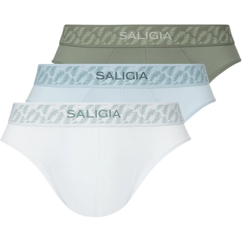 SALIGIA 3