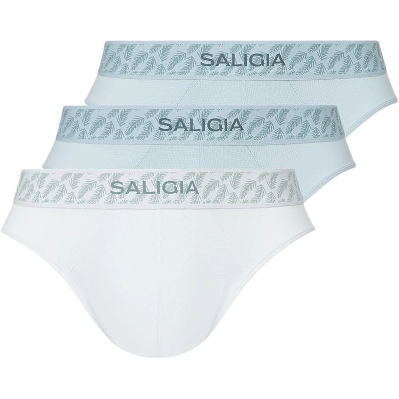SALIGIA 3