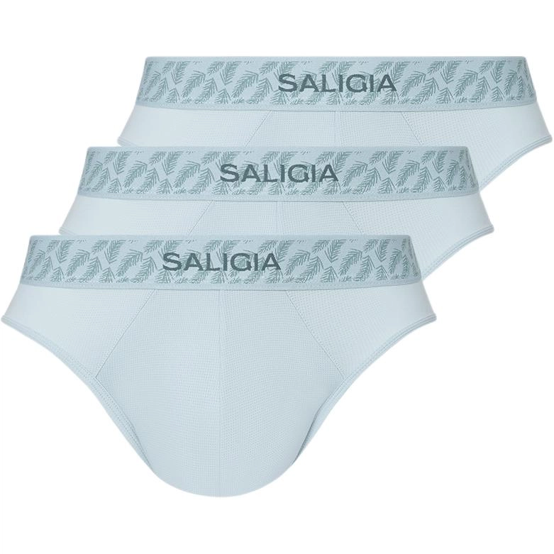 SALIGIA 3