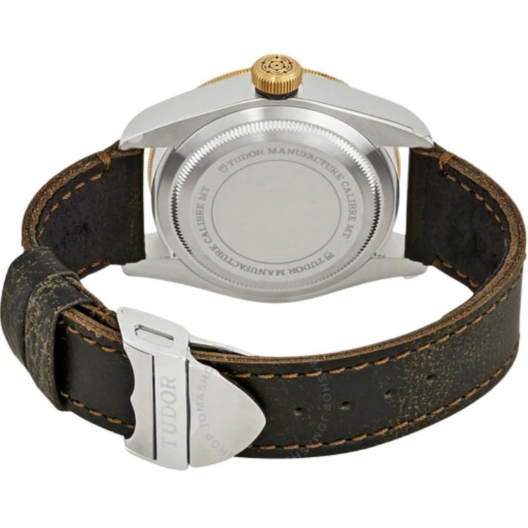 TUDOR 41mm M79733N-0003