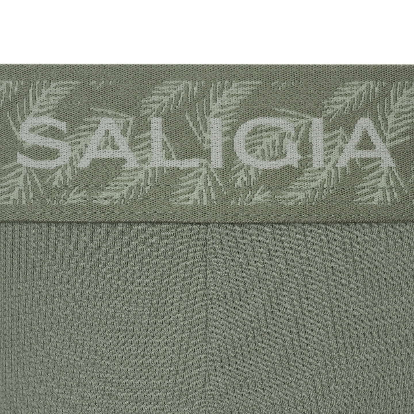 SALIGIA 3
