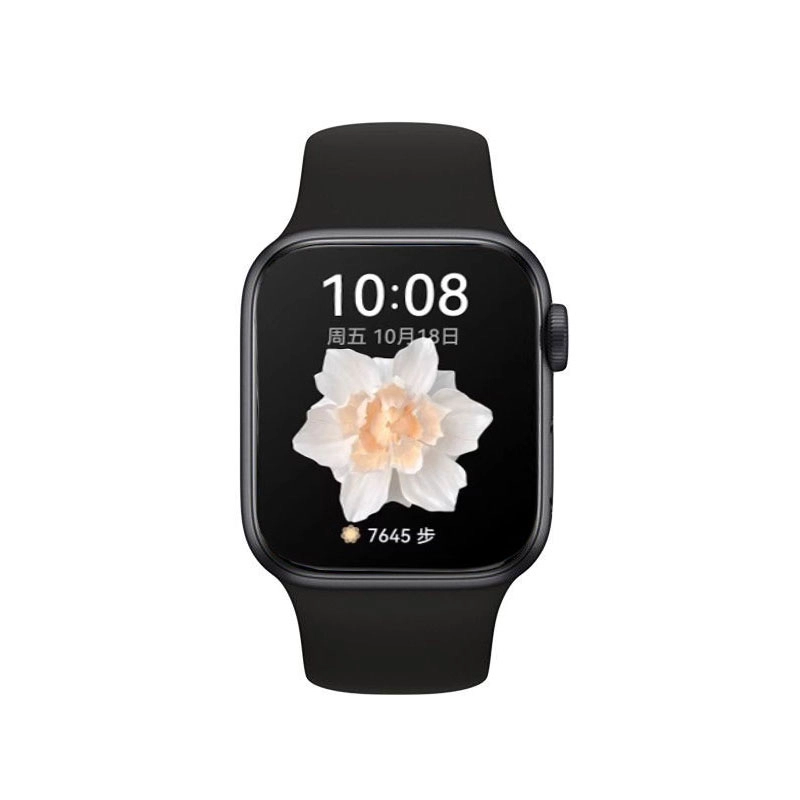 watch FIT34watchfit4pro