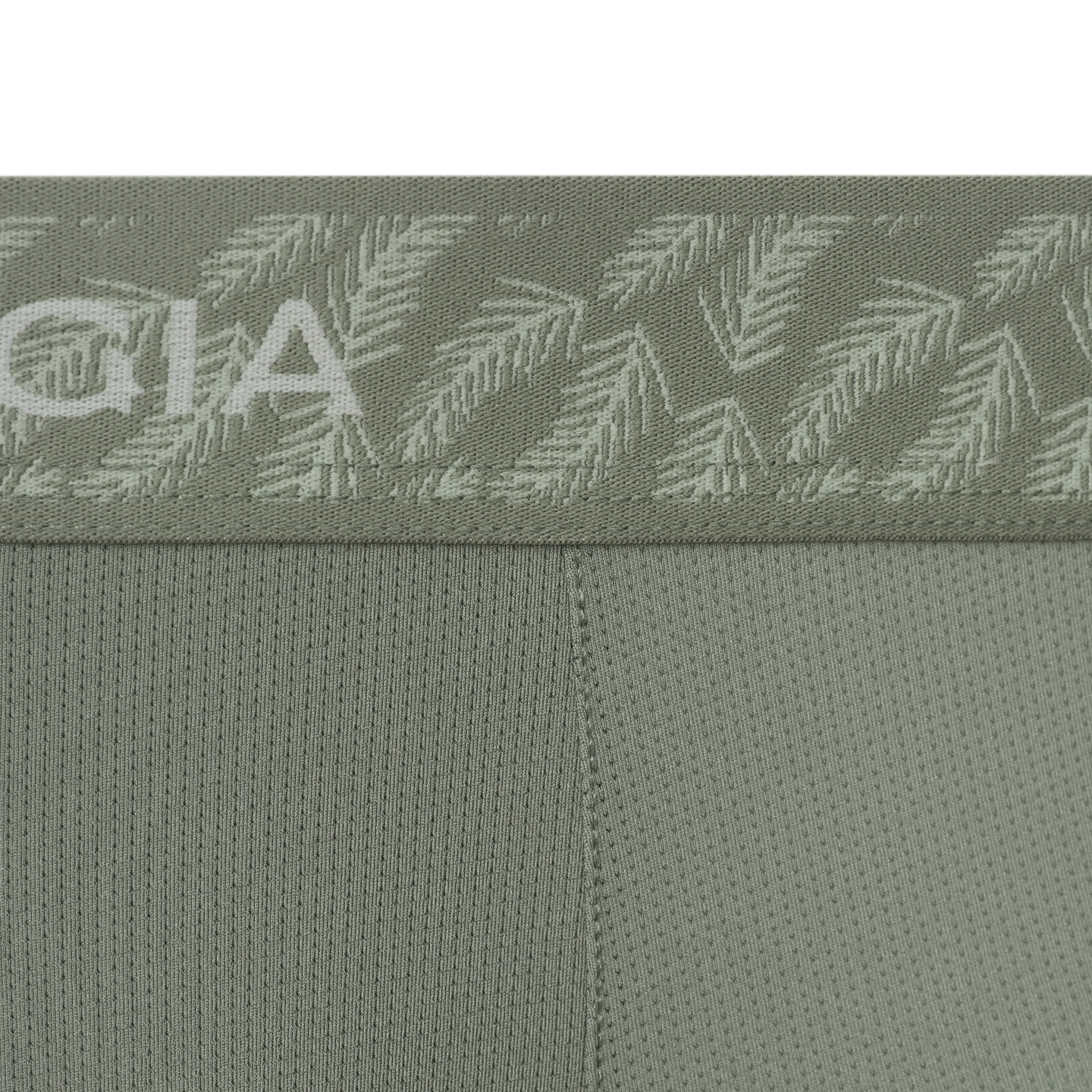SALIGIA 3