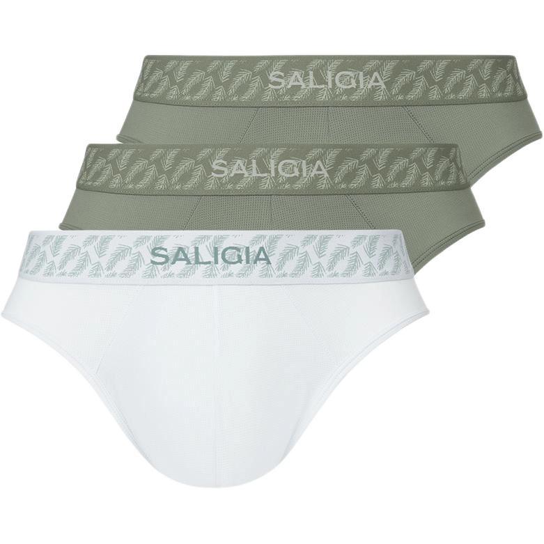 SALIGIA 3