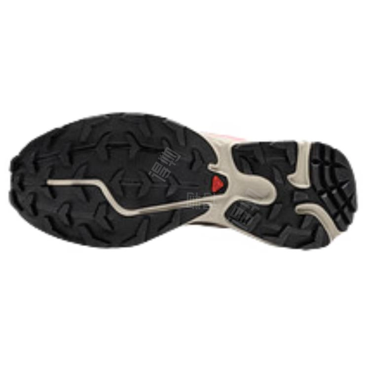 SALOMON XT-6