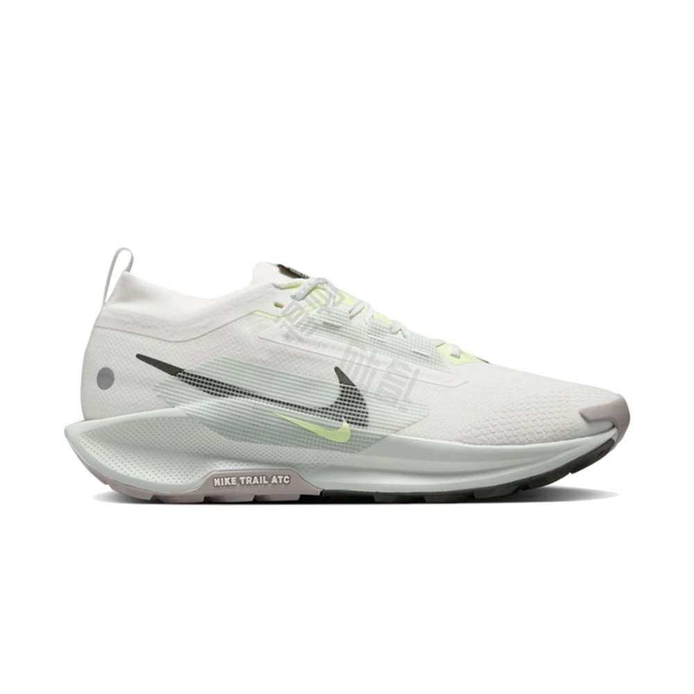 Nike Pegasus Trail 5