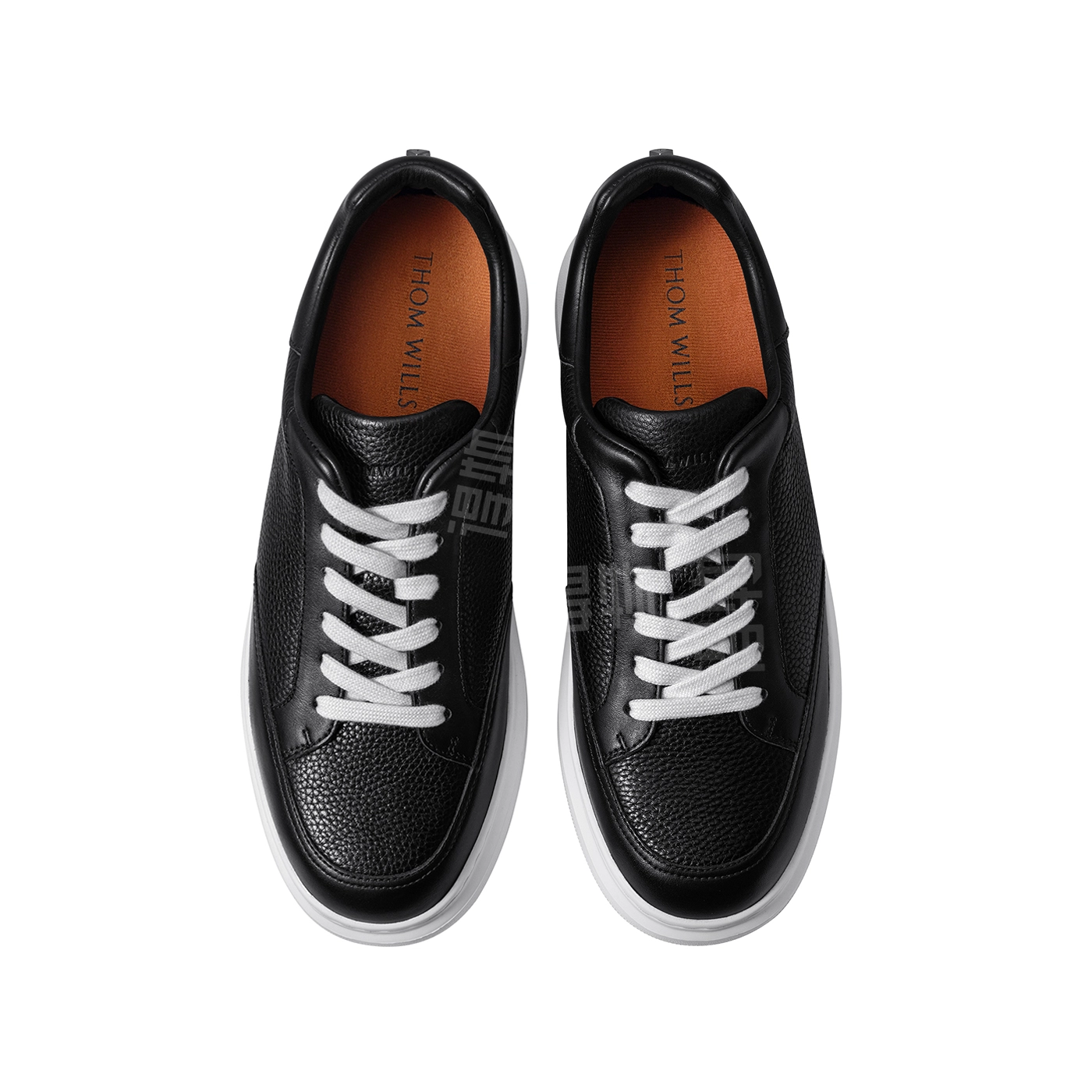 THOM WILLS trainer