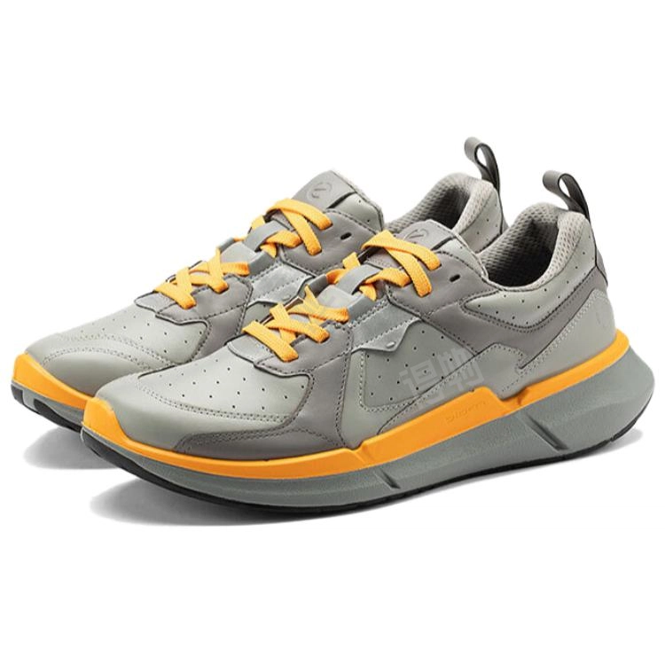 ecco Biom 2.2