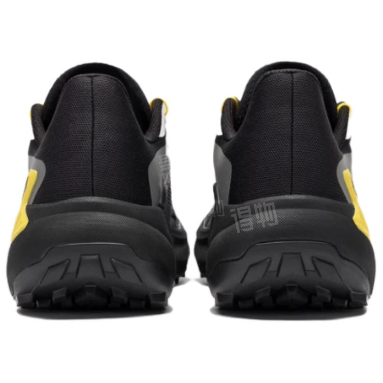 SALOMON GENESIS