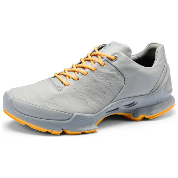ecco BIOM C