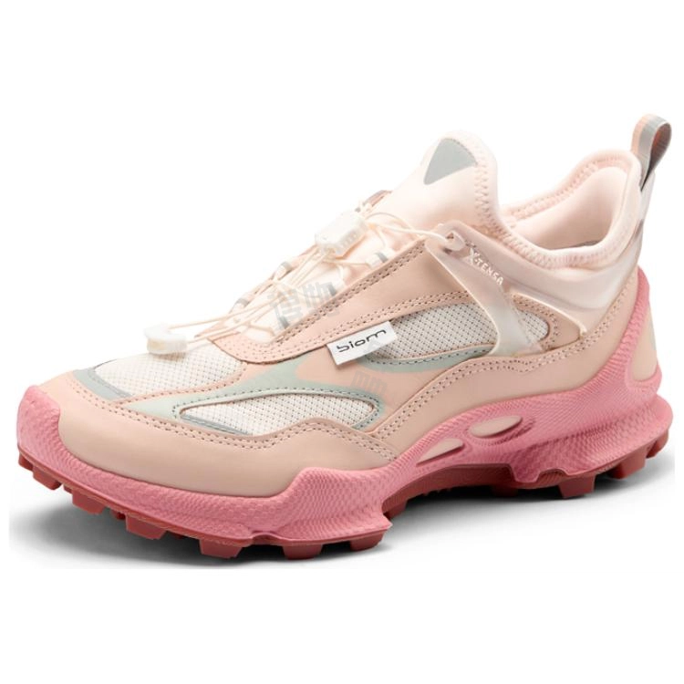 ecco C