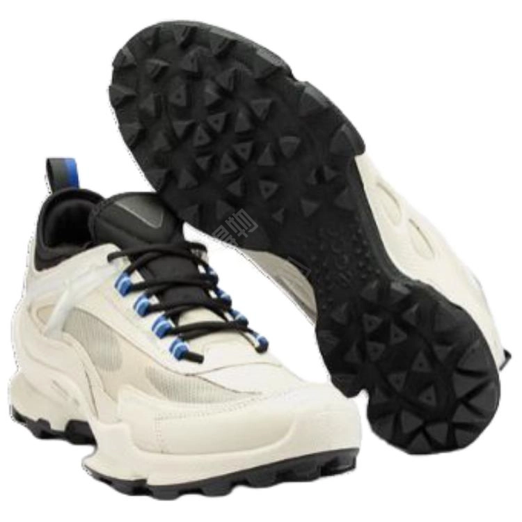 ecco C BIOM C-TRAIL