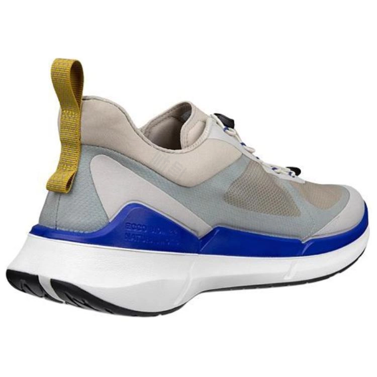 ecco Biom 2.2