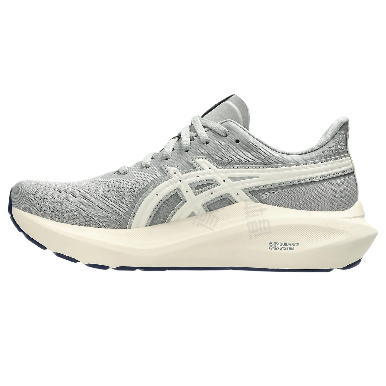 Asics GT-2000 13 ATC