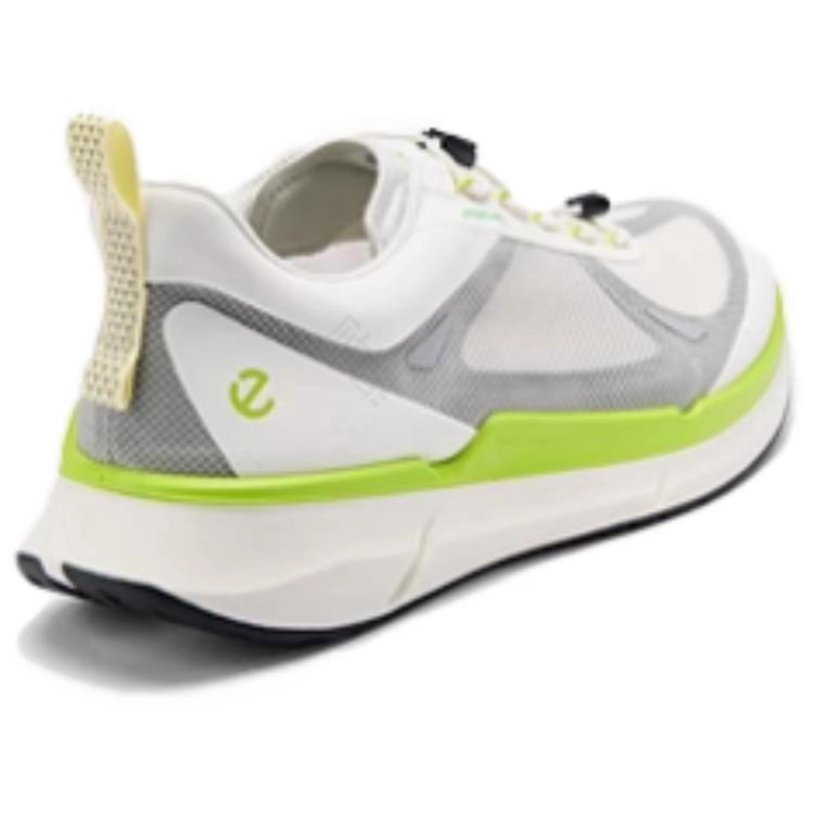 ecco Biom 2.2