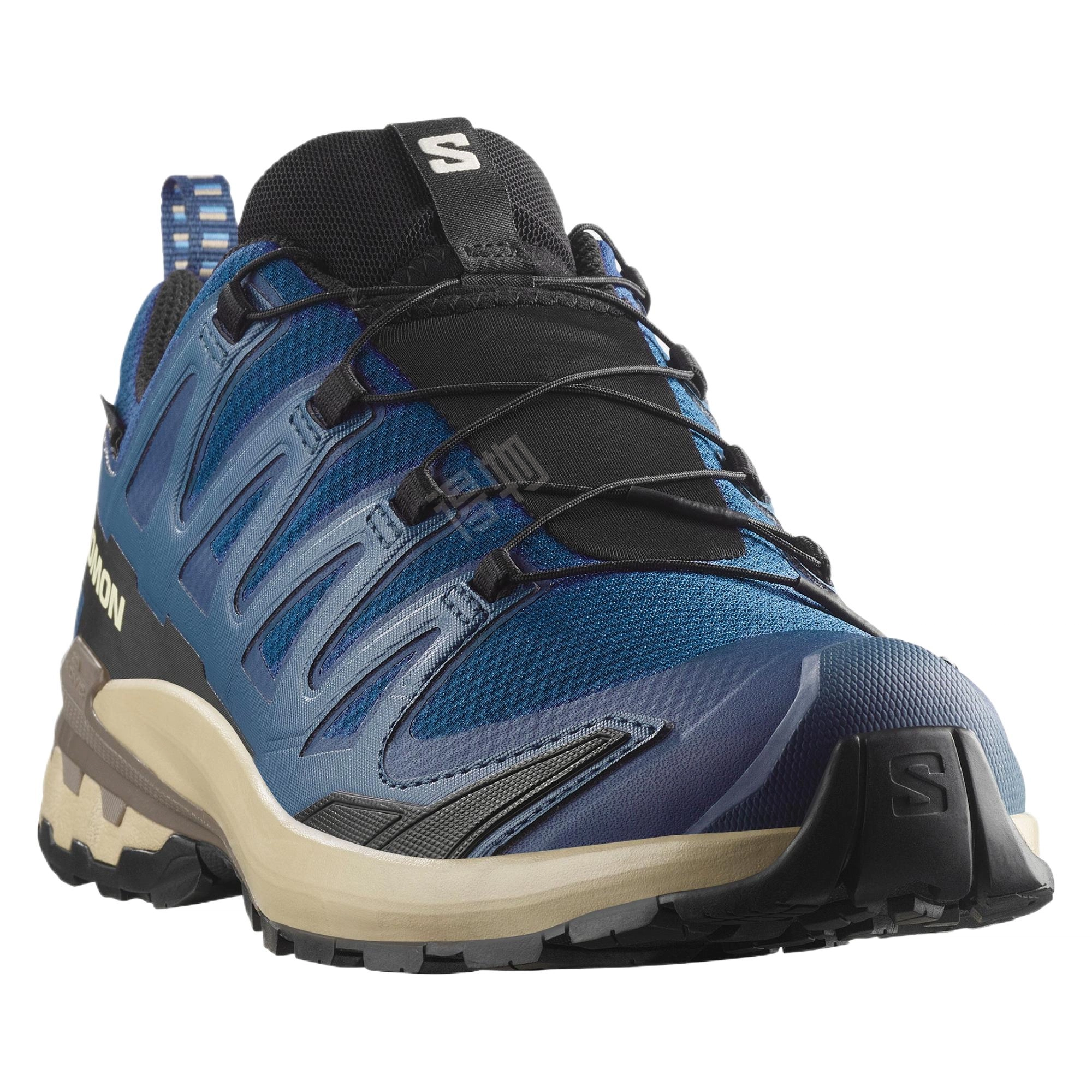 SALOMON XA Pro 3D V9 GORE-TEX