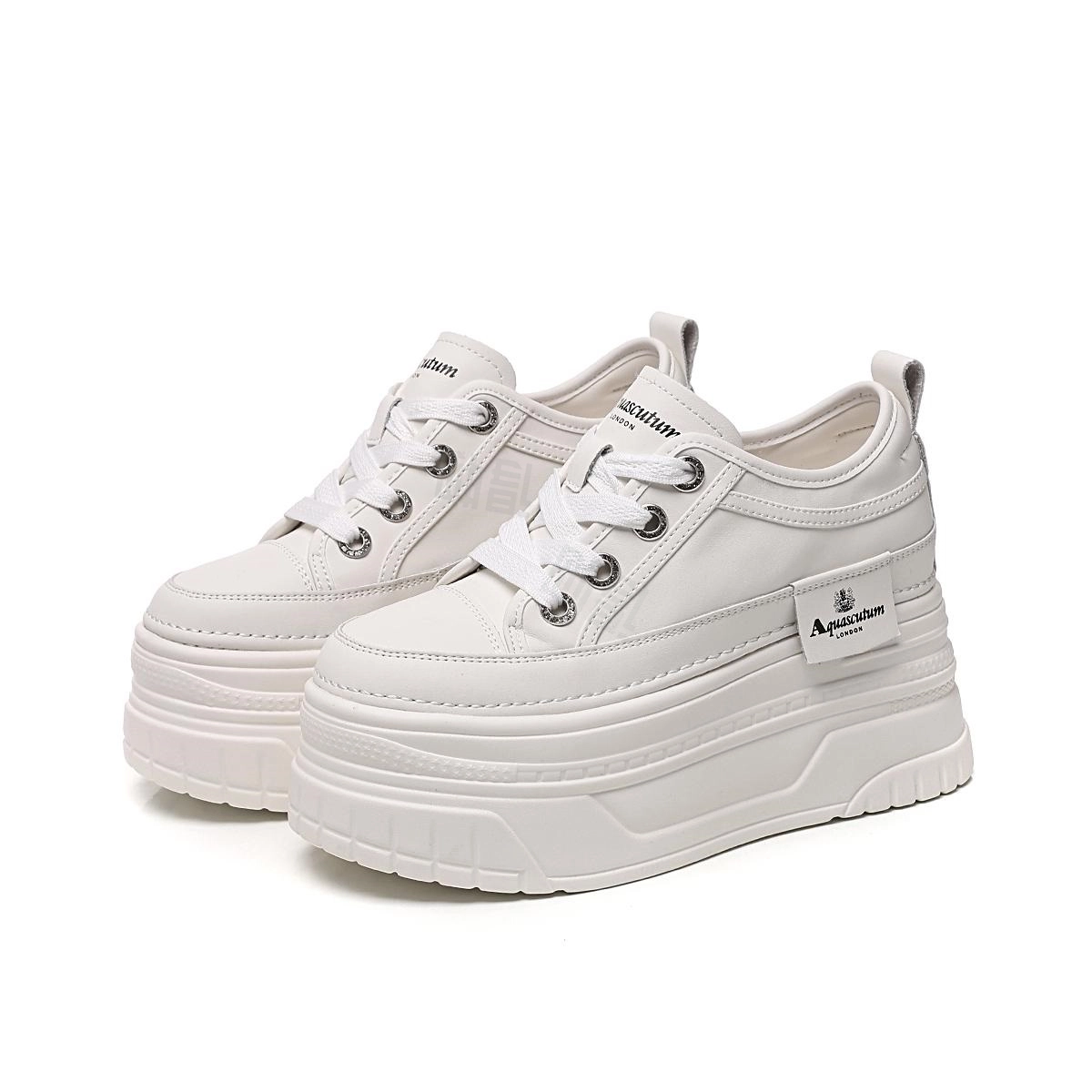 AQUASCUTUM
