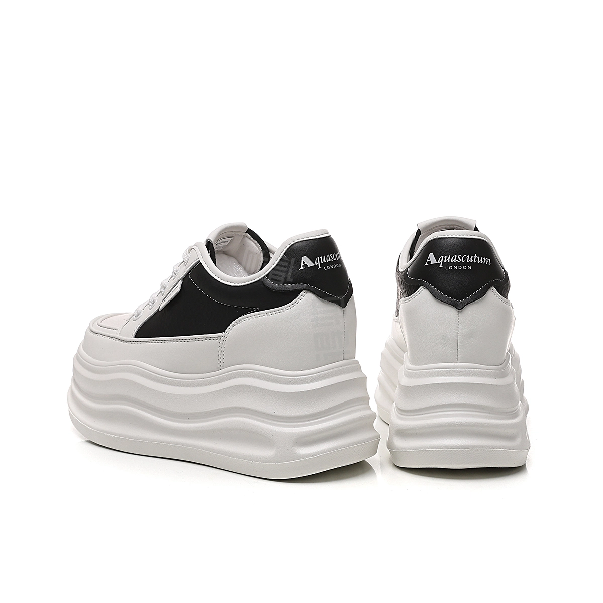 AQUASCUTUM