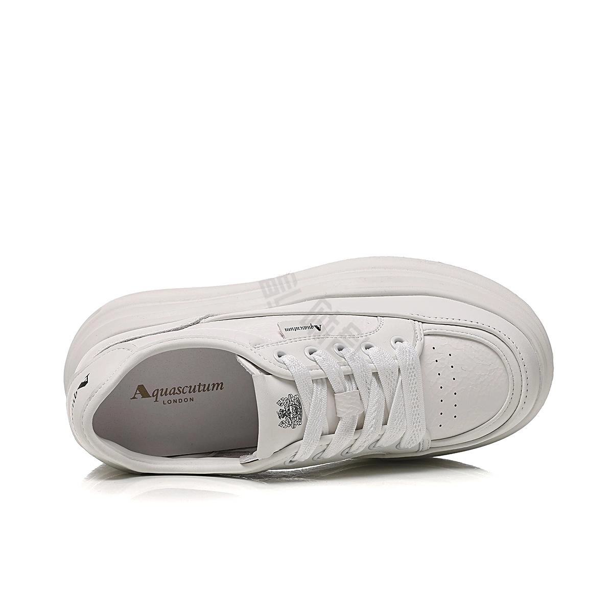 AQUASCUTUM