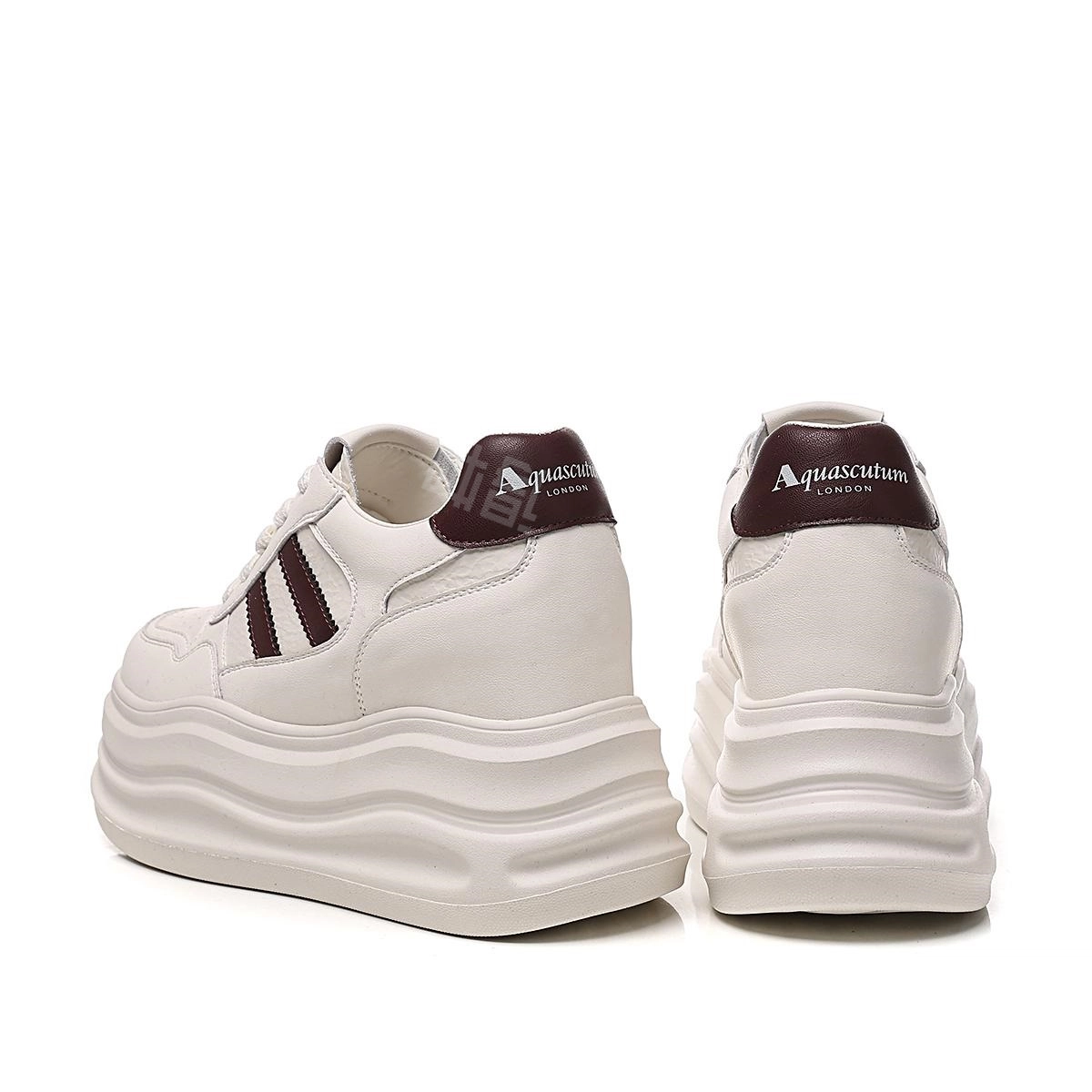 AQUASCUTUM