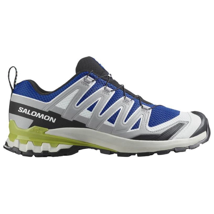 SALOMON XA Pro 3D V9