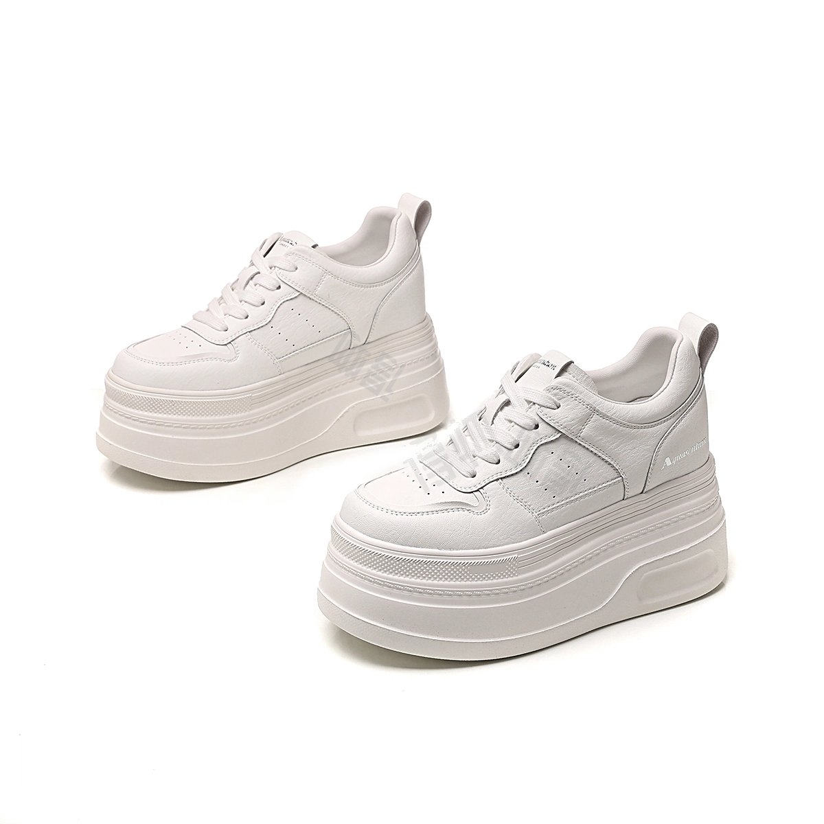 AQUASCUTUM
