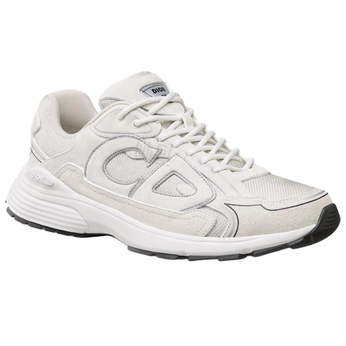 DIOR B30