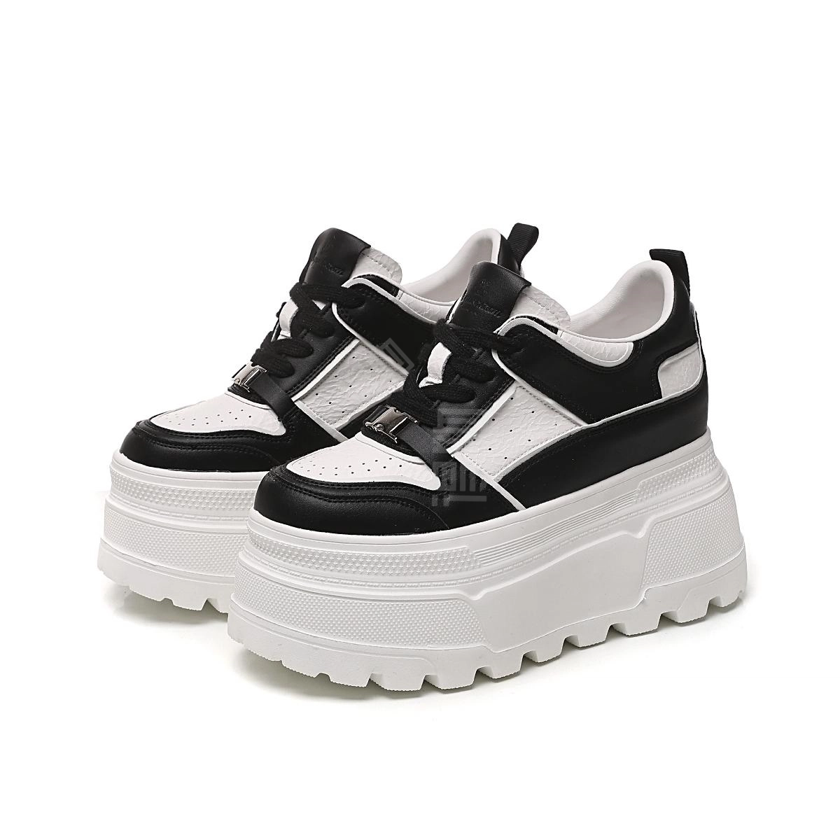 AQUASCUTUM