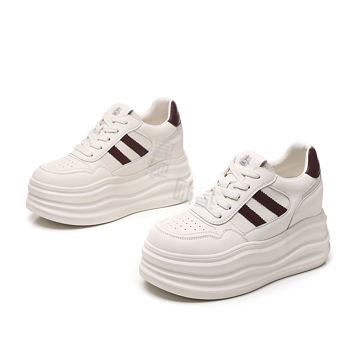 AQUASCUTUM