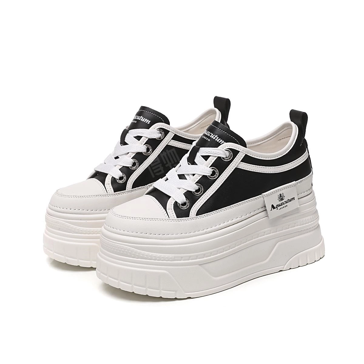 AQUASCUTUM