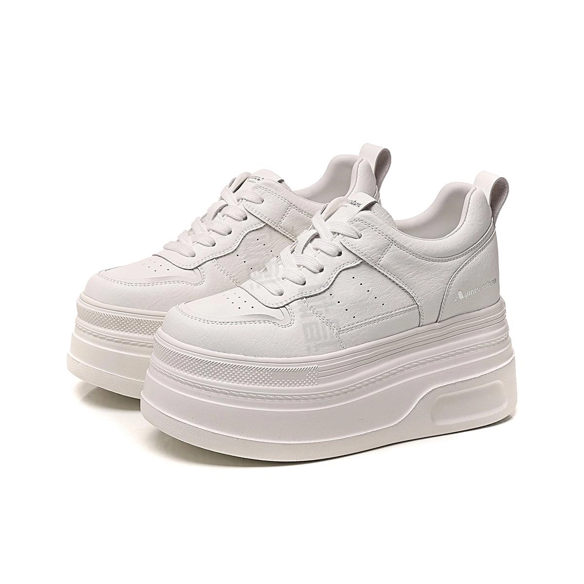AQUASCUTUM