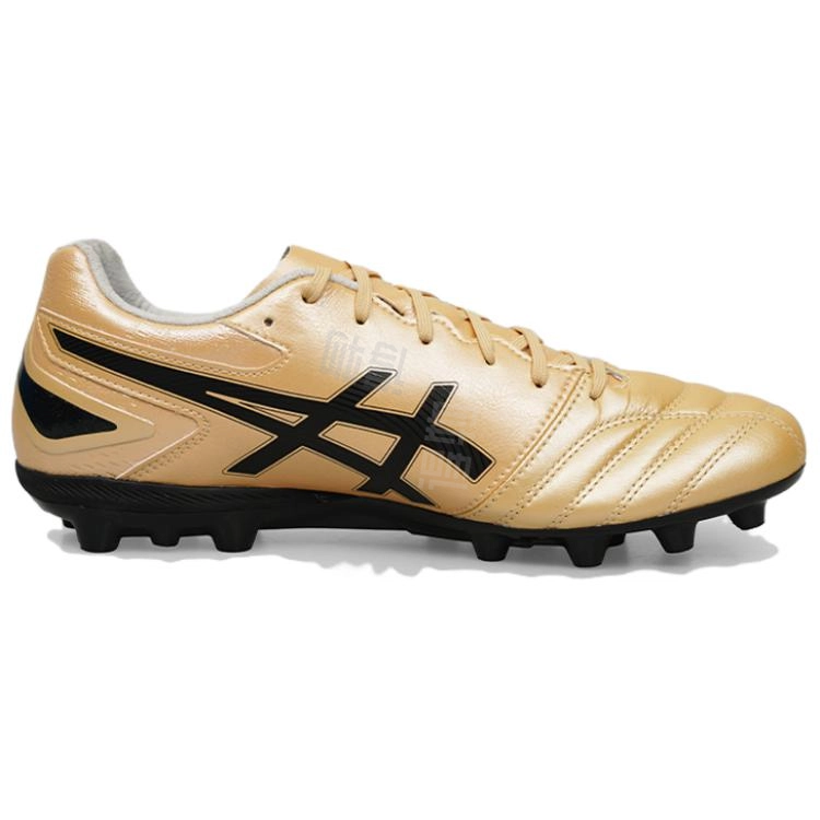 Asics DS LIGHT PRO AG