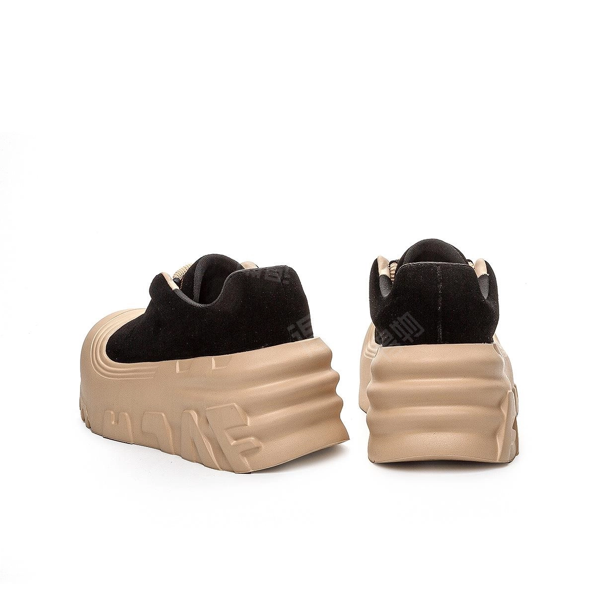 AQUASCUTUM