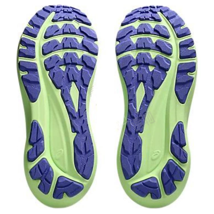 Asics GT-2000 13 TR