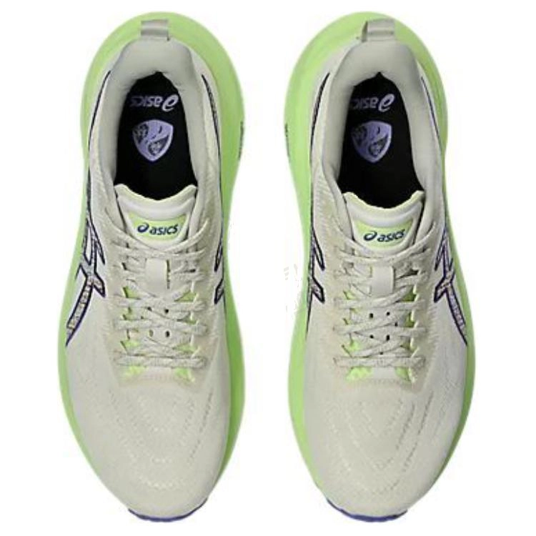Asics GT-2000 13 TR