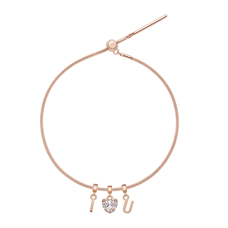 Daniel Wellington CHARMS CHARMS DW
