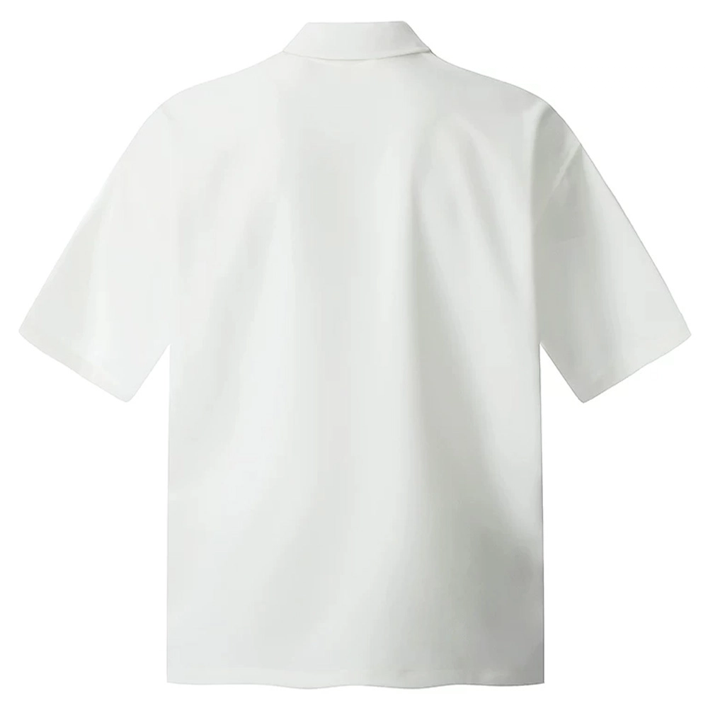 songlan VPolo