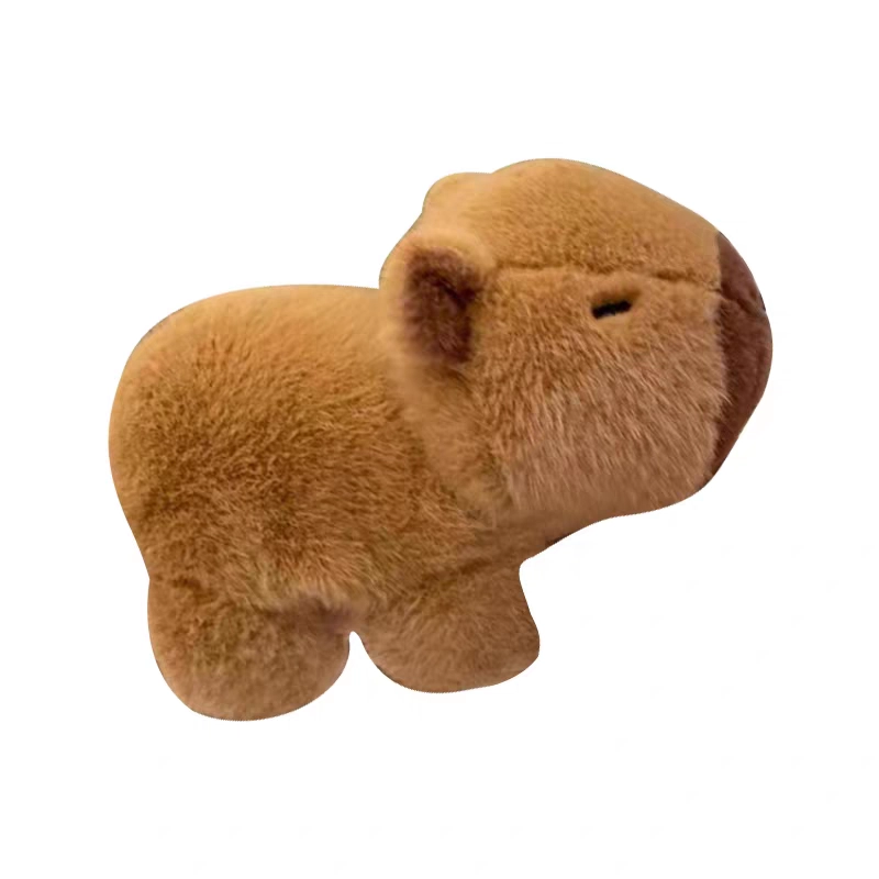 EDDO KIDS 23cm