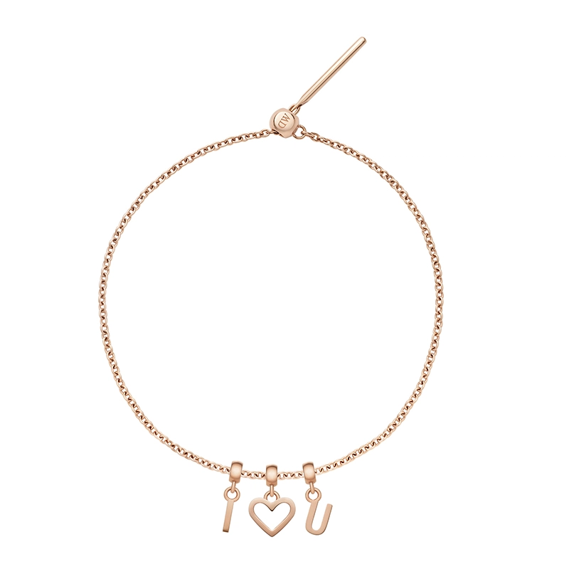 Daniel Wellington CHARMS CHARMS DW