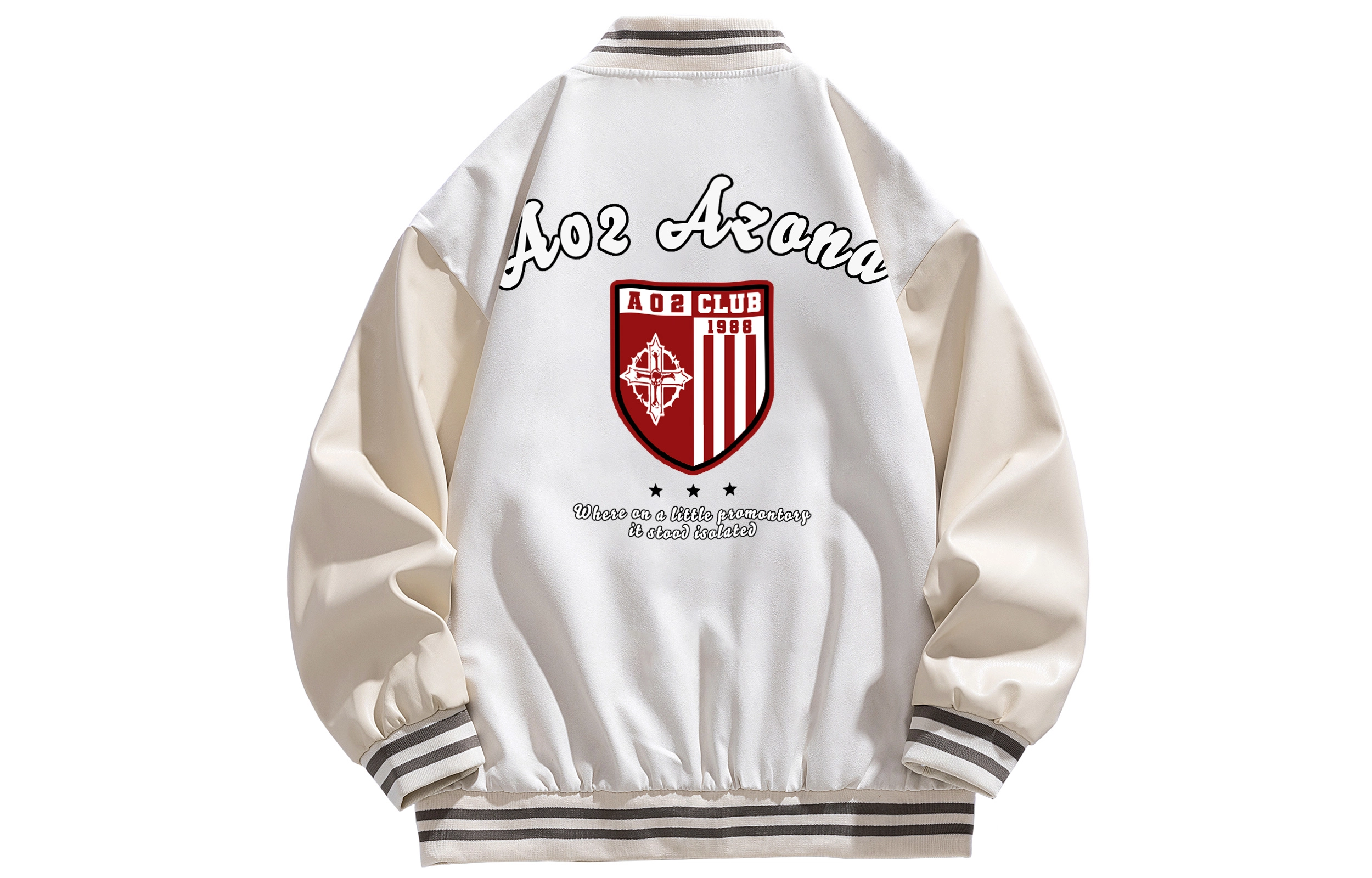 a02 LOGOins