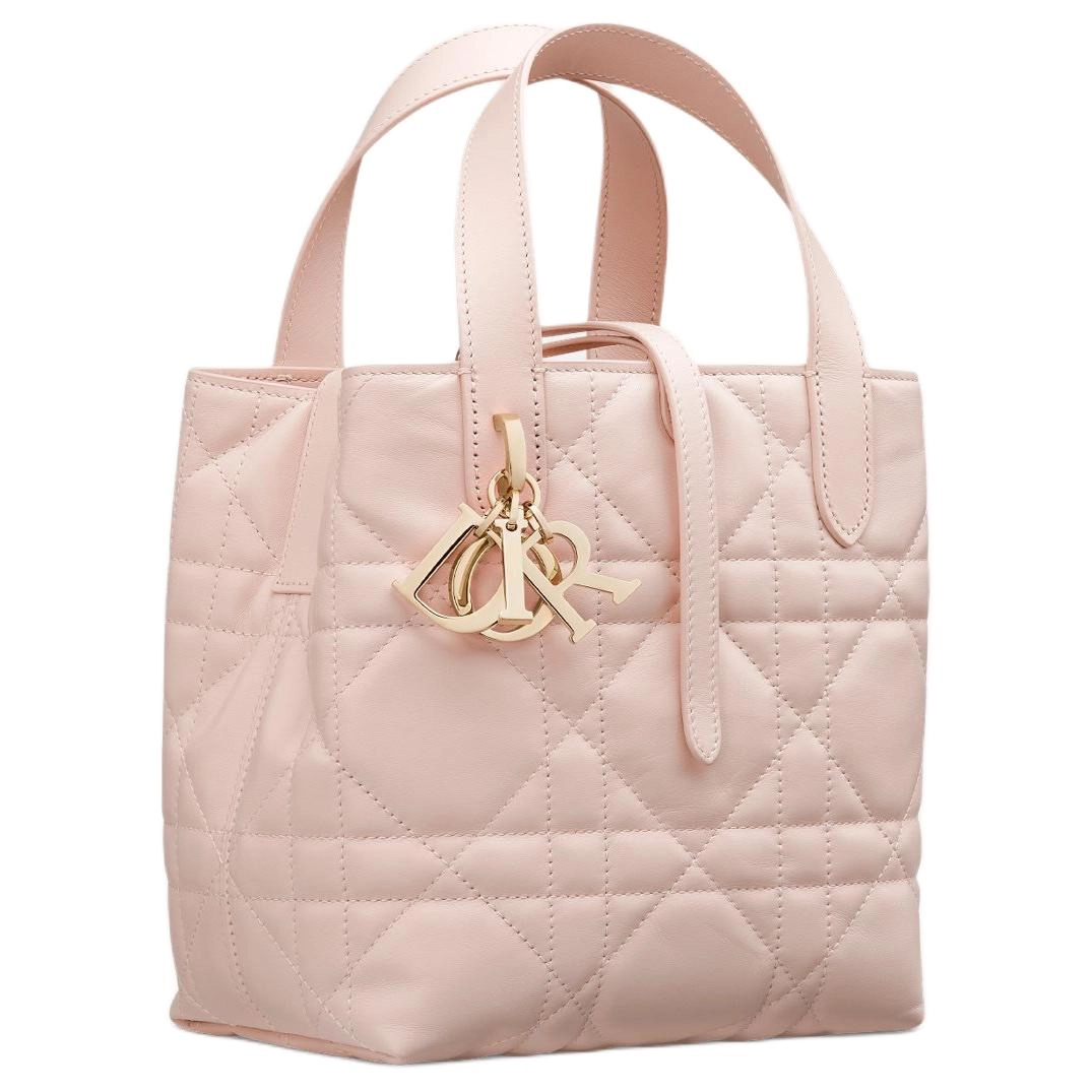 DIOR Toujours